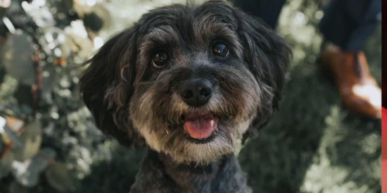 Tucker