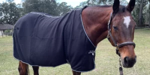 Medcovet Horse - Wyndsor