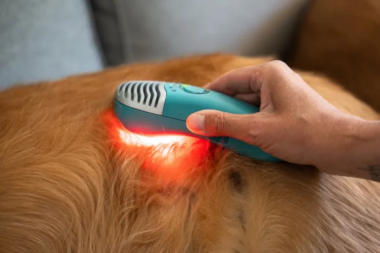 MedcoVet Luma shining light through a dog's fur