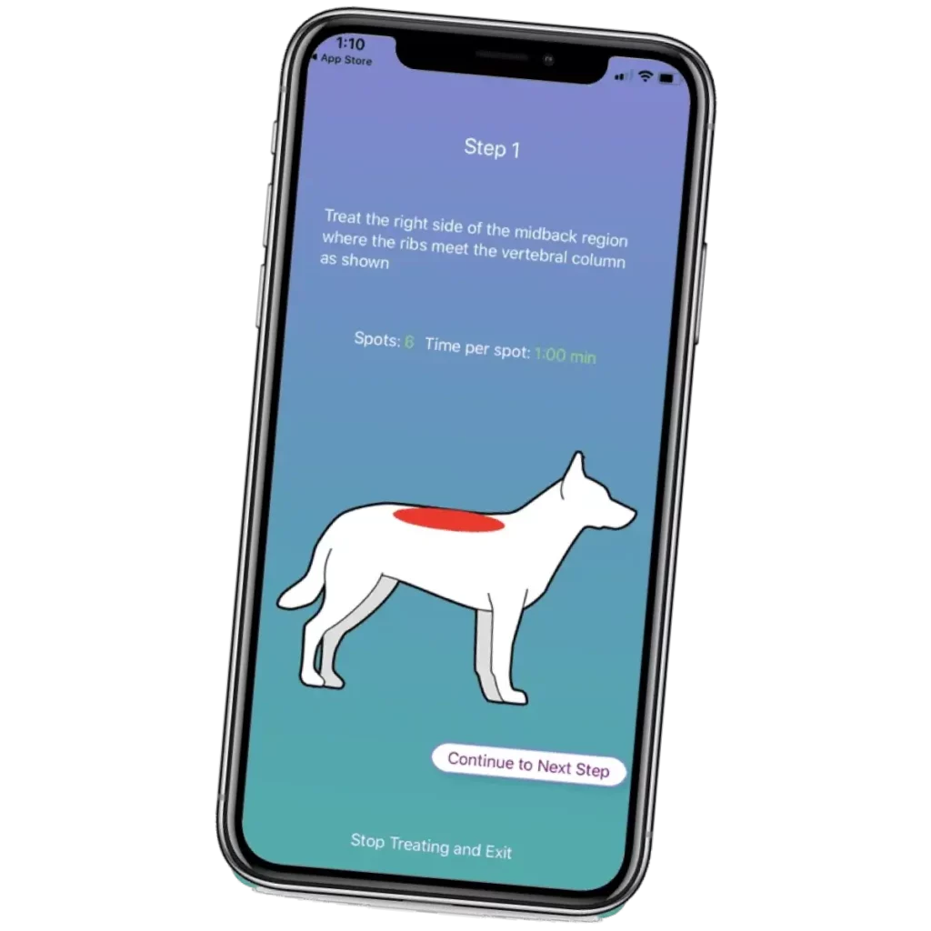 Image of MedcoVet Luma app