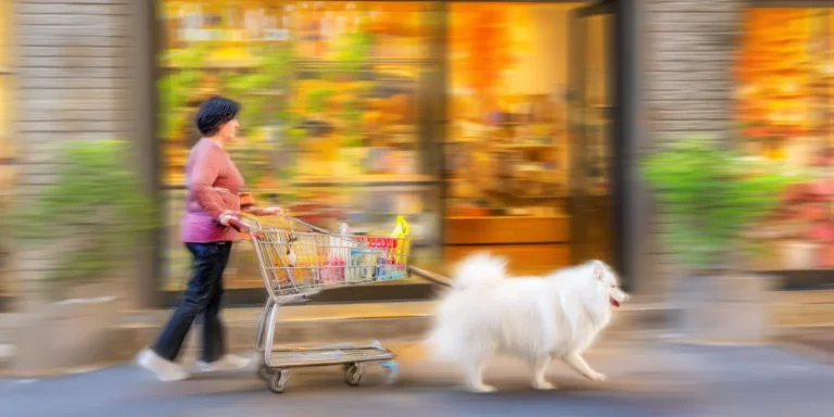 Woman shopping with a big white dog