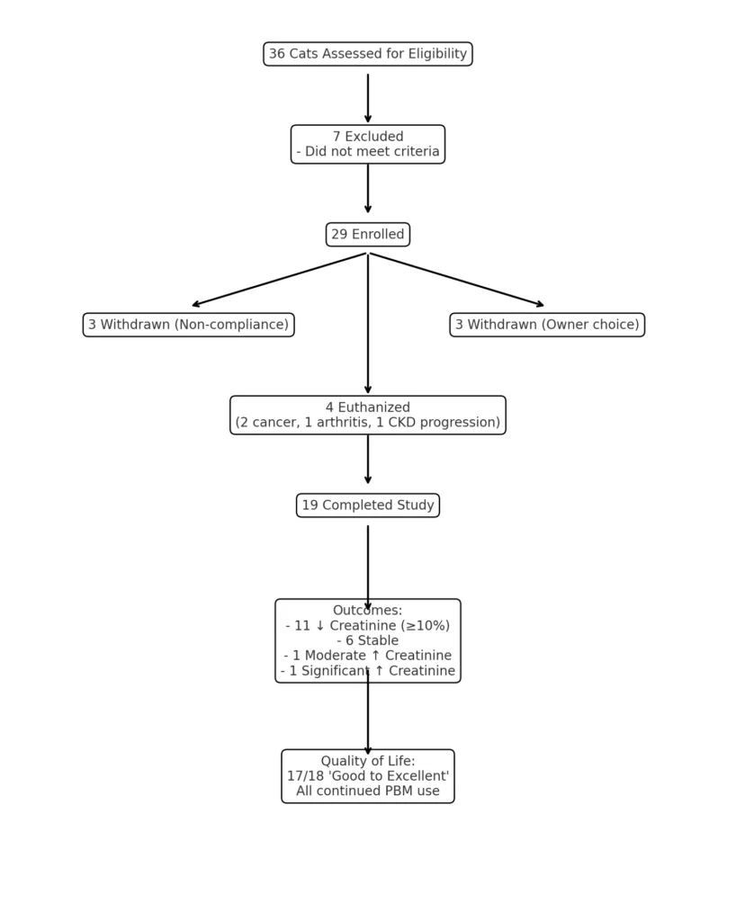 Consort Style Flow Diagram