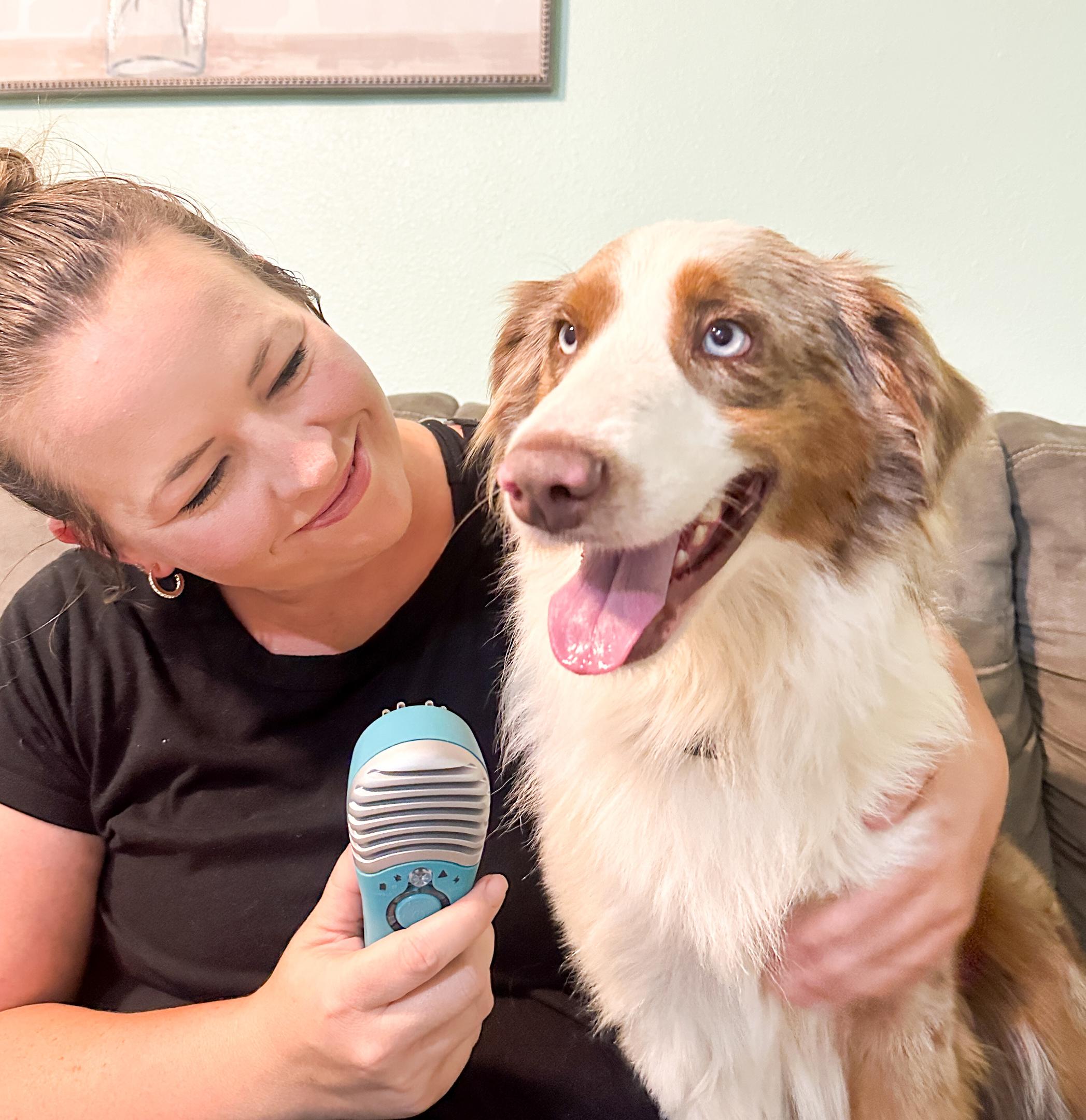 How red light therapy supports dog surgery recovery
