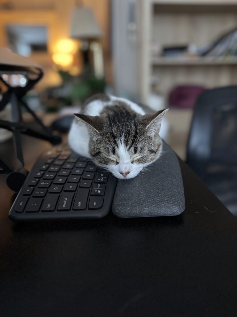 Cat sleeping on a computer keyboard on a desk in a home office setting, paws tucked under its body, eyes closed
